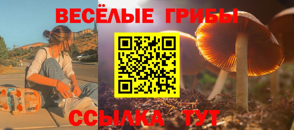 дарнет шоп  Вход с VPN  Всеволожск  Псилоцибиновые грибы GOLDEN TEACHER 